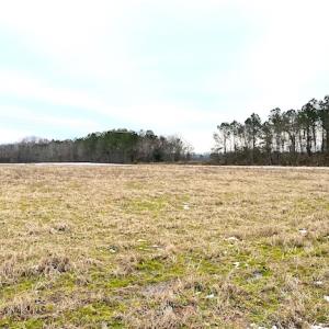 Photo #15 of SOLD property in Off White Marsh Road, Suffolk, VA 7.5 acres