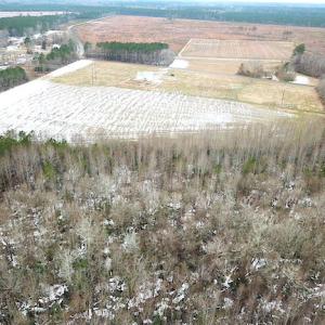 Photo #3 of SOLD property in Off White Marsh Road, Suffolk, VA 7.3 acres