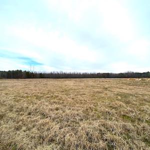 Photo #8 of SOLD property in Off White Marsh Road, Suffolk, VA 7.3 acres