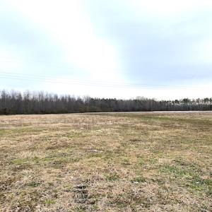 Photo #9 of SOLD property in Off White Marsh Road, Suffolk, VA 7.3 acres