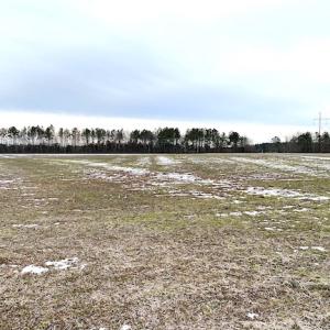 Photo #10 of SOLD property in Off White Marsh Road, Suffolk, VA 7.3 acres