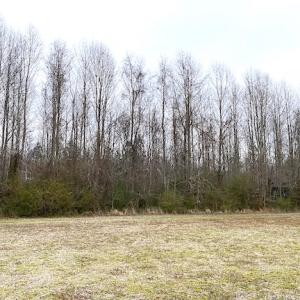 Photo #11 of SOLD property in Off White Marsh Road, Suffolk, VA 7.3 acres