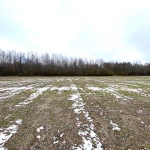 Photo #12 of SOLD property in Off White Marsh Road, Suffolk, VA 7.3 acres