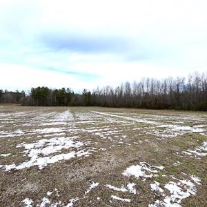 Photo #13 of SOLD property in Off White Marsh Road, Suffolk, VA 7.3 acres