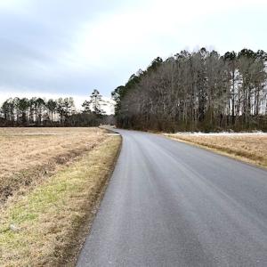 Photo #15 of SOLD property in Off White Marsh Road, Suffolk, VA 7.3 acres