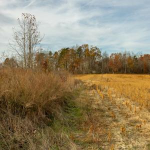 Photo #13 of SOLD property in Off Allie Clay Road, Roxboro, NC 9.8 acres