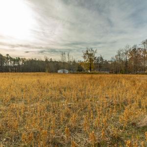 Photo #14 of SOLD property in Off Allie Clay Road, Roxboro, NC 9.8 acres