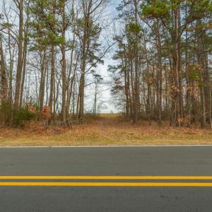 Photo #15 of SOLD property in Off Allie Clay Road, Roxboro, NC 9.8 acres