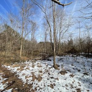 Photo #13 of SOLD property in Off Old Neck Road, Exmore, VA 3.7 acres