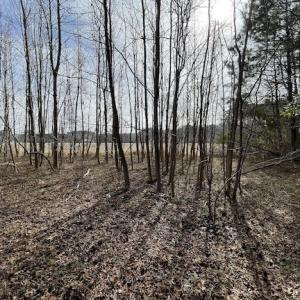 Photo #14 of SOLD property in Off Old Neck Road, Exmore, VA 3.7 acres