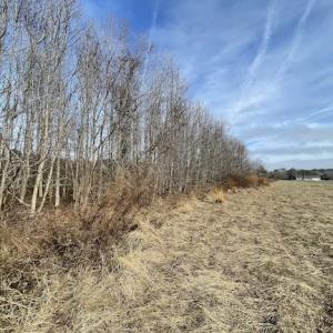 Photo #17 of SOLD property in Off Old Neck Road, Exmore, VA 3.7 acres