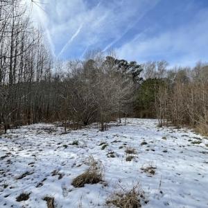 Photo #21 of SOLD property in Off Old Neck Road, Exmore, VA 3.7 acres