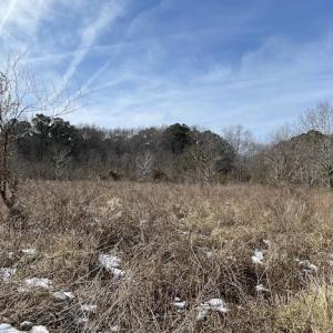 Photo #29 of SOLD property in Off Old Neck Road, Exmore, VA 3.7 acres