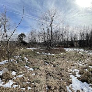 Photo #30 of SOLD property in Off Old Neck Road, Exmore, VA 3.7 acres