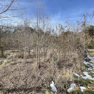 Photo #33 of SOLD property in Off Old Neck Road, Exmore, VA 3.7 acres