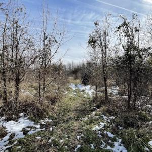 Photo #6 of SOLD property in Off Old Neck Road, Exmore, VA 3.7 acres