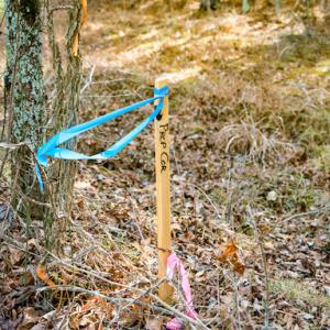 Photo #12 of SOLD property in 1147 Henderson Tanyard Road, Pittsboro, NC 5.9 acres