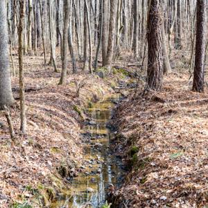 Photo #17 of SOLD property in 1147 Henderson Tanyard Road, Pittsboro, NC 5.9 acres