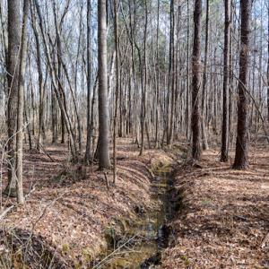 Photo #19 of SOLD property in 1147 Henderson Tanyard Road, Pittsboro, NC 5.9 acres