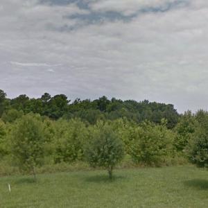 Photo #2 of SOLD property in 4639 Desert Road, Suffolk, VA 1.0 acres