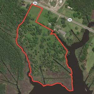 Photo #1 of SOLD property in Off Highway 304, Bayboro, NC 16.6 acres