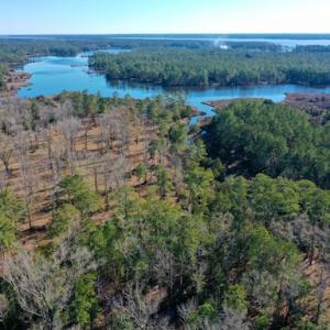 Photo #3 of SOLD property in Off Highway 304, Bayboro, NC 16.6 acres