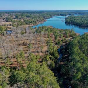 Photo #4 of SOLD property in Off Highway 304, Bayboro, NC 16.6 acres