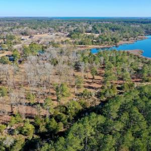 Photo #5 of SOLD property in Off Highway 304, Bayboro, NC 16.6 acres