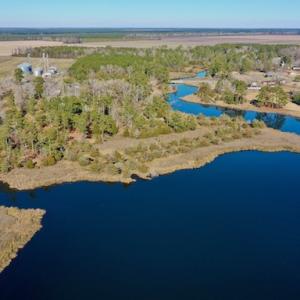 Photo #7 of SOLD property in Off Highway 304, Bayboro, NC 16.6 acres