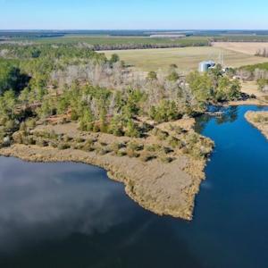 Photo #9 of SOLD property in Off Highway 304, Bayboro, NC 16.6 acres