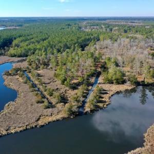 Photo #10 of SOLD property in Off Highway 304, Bayboro, NC 16.6 acres
