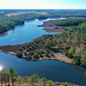 Photo #11 of SOLD property in Off Highway 304, Bayboro, NC 16.6 acres
