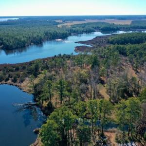 Photo #12 of SOLD property in Off Highway 304, Bayboro, NC 16.6 acres
