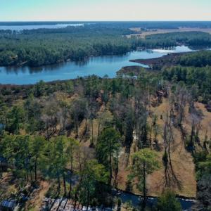 Photo #13 of SOLD property in Off Highway 304, Bayboro, NC 16.6 acres