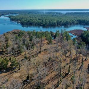 Photo #15 of SOLD property in Off Highway 304, Bayboro, NC 16.6 acres