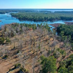 Photo #16 of SOLD property in Off Highway 304, Bayboro, NC 16.6 acres