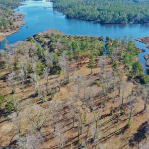 Photo #17 of SOLD property in Off Highway 304, Bayboro, NC 16.6 acres