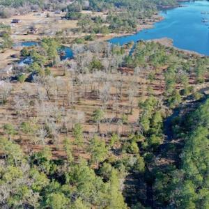Photo #18 of SOLD property in Off Highway 304, Bayboro, NC 16.6 acres