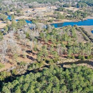 Photo #19 of SOLD property in Off Highway 304, Bayboro, NC 16.6 acres