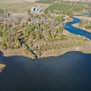 Photo #21 of SOLD property in Off Highway 304, Bayboro, NC 16.6 acres