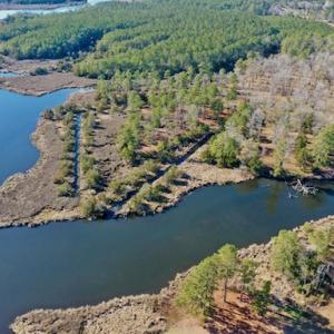 Photo #23 of SOLD property in Off Highway 304, Bayboro, NC 16.6 acres