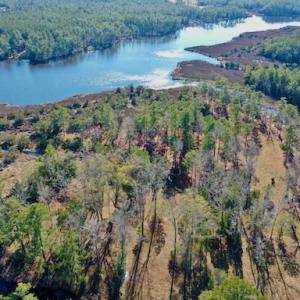 Photo #24 of SOLD property in Off Highway 304, Bayboro, NC 16.6 acres