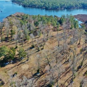 Photo #25 of SOLD property in Off Highway 304, Bayboro, NC 16.6 acres