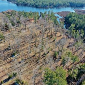 Photo #26 of SOLD property in Off Highway 304, Bayboro, NC 16.6 acres