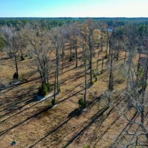 Photo #29 of SOLD property in Off Highway 304, Bayboro, NC 16.6 acres
