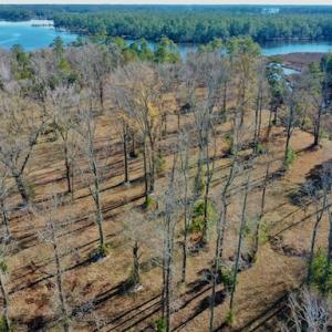 Photo #31 of SOLD property in Off Highway 304, Bayboro, NC 16.6 acres