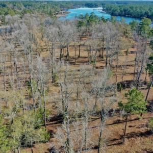 Photo #32 of SOLD property in Off Highway 304, Bayboro, NC 16.6 acres