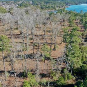 Photo #33 of SOLD property in Off Highway 304, Bayboro, NC 16.6 acres