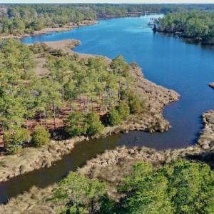 Photo #34 of SOLD property in Off Highway 304, Bayboro, NC 16.6 acres