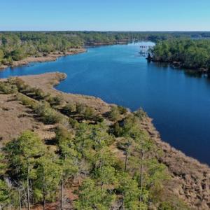 Photo #35 of SOLD property in Off Highway 304, Bayboro, NC 16.6 acres